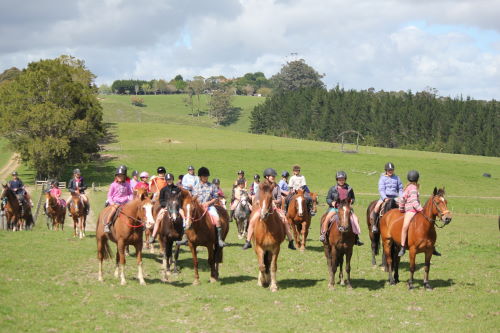 Go Horse Trekking through beaches and farmland